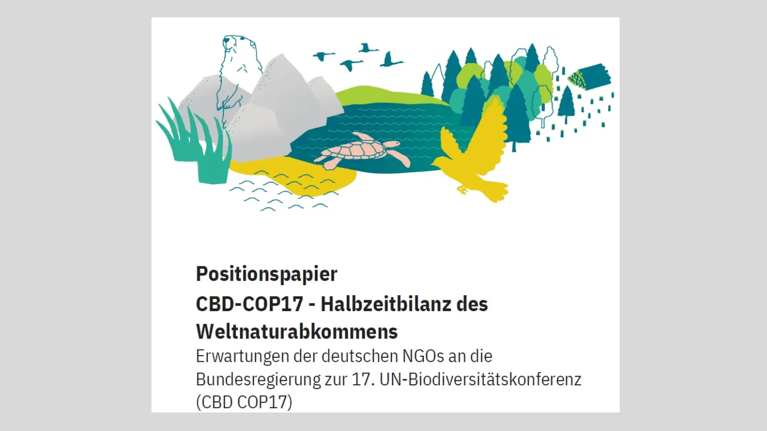 Titelbild des Positionspapiers zur CBD COP 17 - grafische Darstellung von Natur, unter anderem Berge, Gewässer, Wald, Schilf sowie Murmeltier, Greifvogel und Meeresschildkröte